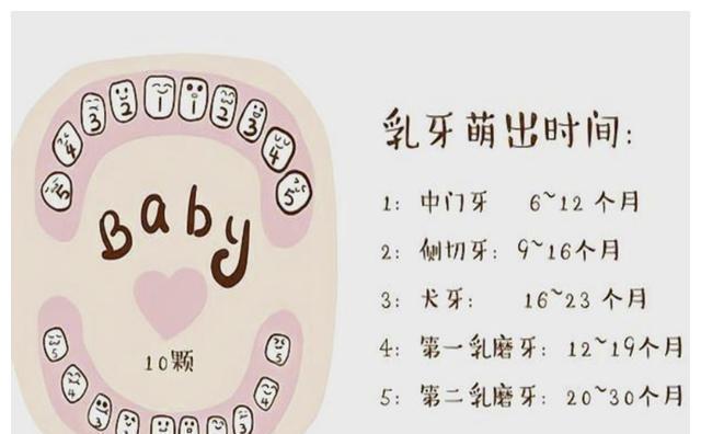 乳牙|宝宝几个月长牙正常?这份宝宝“乳牙萌发和护理表”,请家长收下