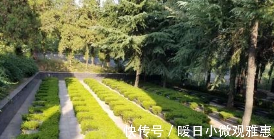 古人说的:“五树进宅,人穷家败”,是指哪5种树,为何不能栽?