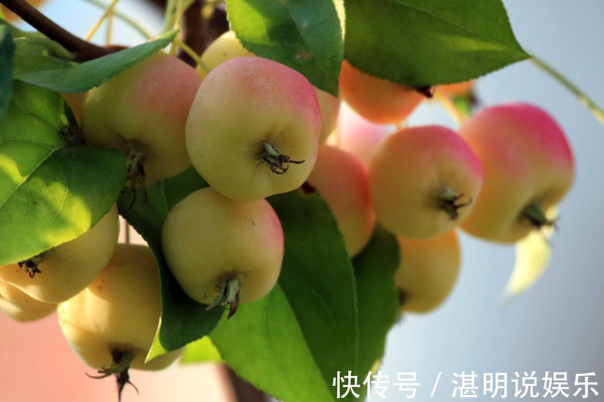 女人|女人想要身材好,三种食物离不开,美容养颜,不妨一试