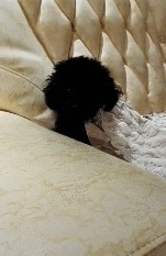 |搞笑GIF:花大价钱来看的表演 你们说我是不是被骗了