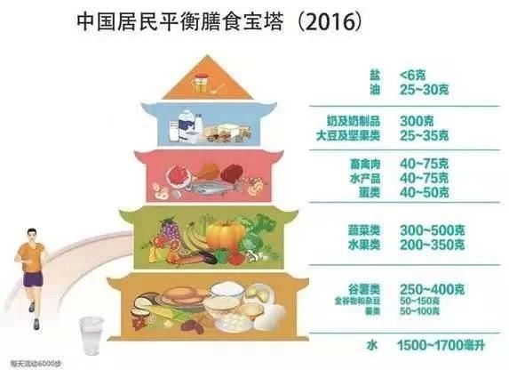 复旦大学|减肥代餐到底怎么吃？这个“能量小人”告诉你