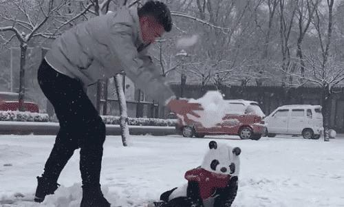 “最较真”奶爸带娃,打雪仗竟不让儿子,网友:搓衣板已备好!