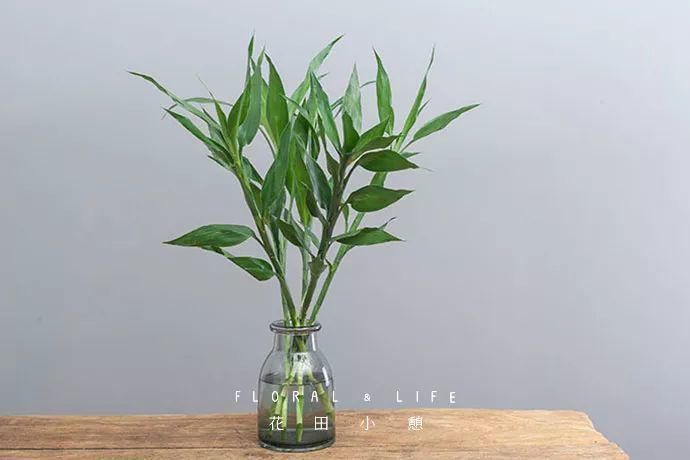 10款春节必备花材清单，去花店就买这些花！