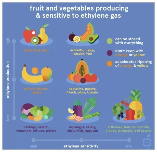 水果|冰箱里放这3种食物，拿出来就得扔掉，吃了会损坏健康？
