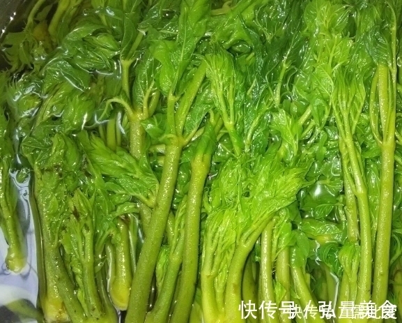 野菜|农村这些野菜，清热利湿，降血压，养颜美容，有钱人抢着吃！