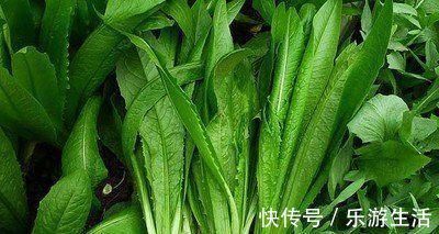 止咳王|此物是天然的安眠药,而且还可预防感冒,治咳嗽,早知早受益