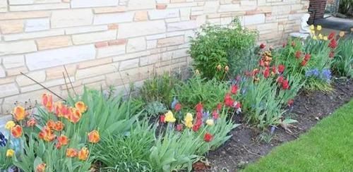 盆栽|盆栽花草该如何正确浇水掌握3点诀窍,不用怕浇一盆死一盆