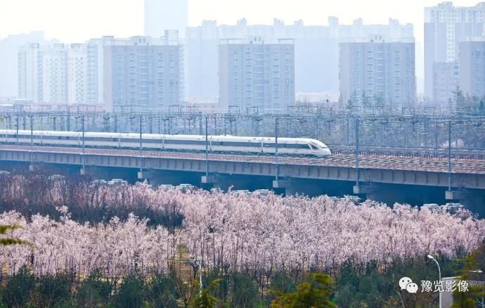 春分，赏花品香不负春