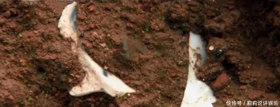 蟋蟀|大明宣德皇帝朱瞻基:蟋蟀天子的故事,蟋蟀罐背后百姓的心酸!