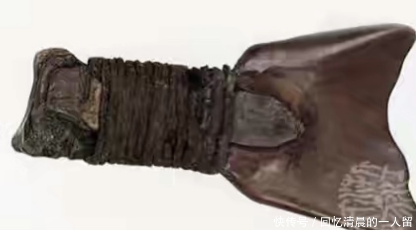 考古大发现,河姆渡文华,人类的起源5