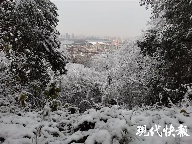 寒潮蓝色预|下雪了！福建真的下雪了！国家级”寒潮杀到，泉州人挺住……