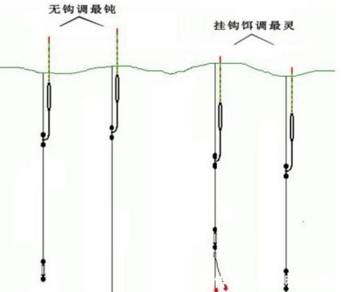 钓鱼|野钓经验谈之八调四钓二真的有用么？上鱼才是硬道理