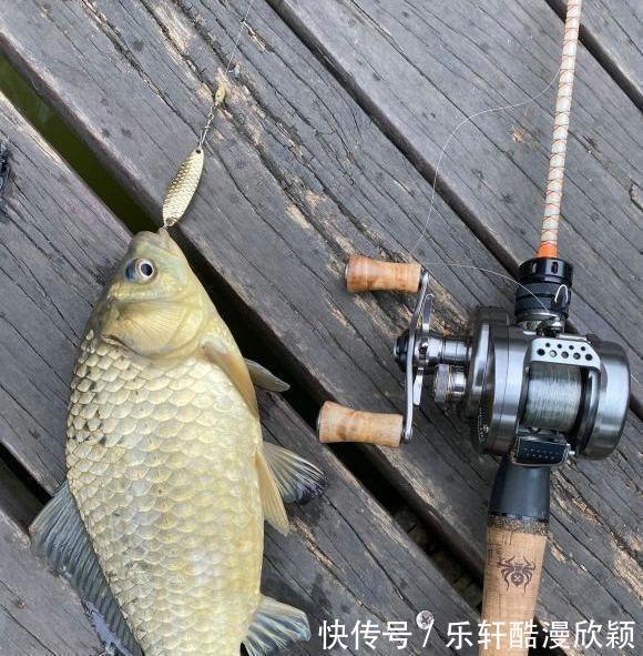 路人|不用鱼钩不用鱼竿也能钓上鱼广西北海现“新奇钓法”,路人围观