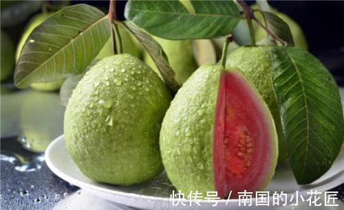 活血|会吃的人最健康,3种食物不错过,补血活血,增强体质,美容护肤