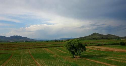 历史上以亩为面积单位,为何一亩会等于