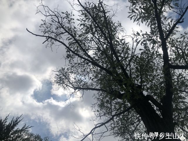 七月鬼|“不怕七月鬼，就怕白露水”，啥意思？白露水是啥？有何不同？