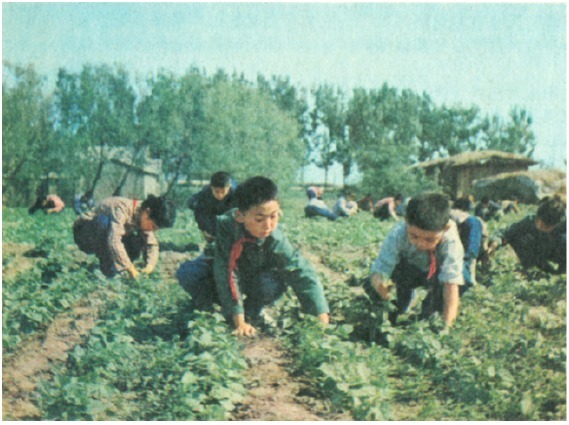 孩子|十张讽刺插图,揭示孩子现代童年和过去童年区别,家长看完会沉默