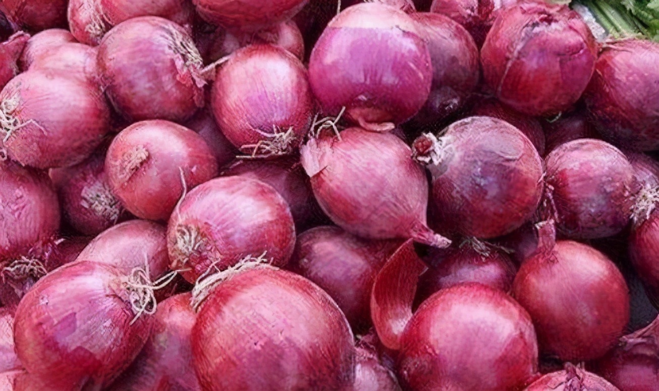 洋葱|聪明的人都爱的食物,每天吃一些,生津润燥,润肺排毒,显年轻
