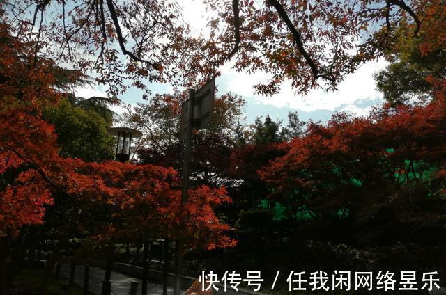 万木!七绝西园即景(新韵)