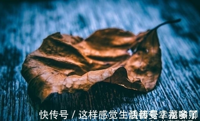 良缘|近期，痴迷旧爱，不屑一顾，天赐良缘，爱意满满，收获甜蜜真爱