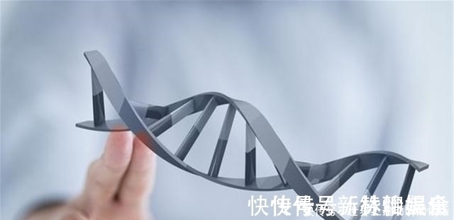 o型血|宝宝智商和血型有关系?父母是这两种血型,孩子更易遗传聪明基因