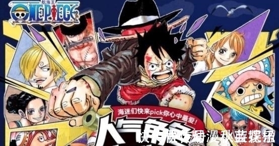 投票|《海贼王》公布最新人气排名,路飞惜败于索隆,罗宾碾压娜美