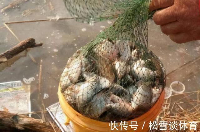 钓饵|千辛万苦找饵料，你却不知这特效饵，大鲫鱼一见就狂咬，特过瘾