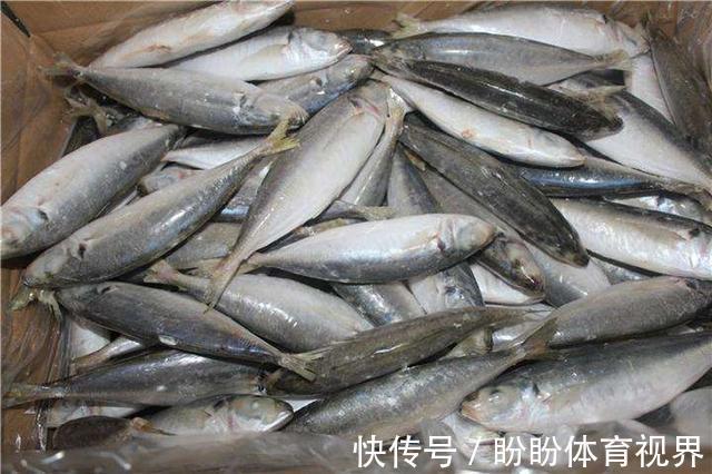 美味|海鲜市场这7种鱼,人工养殖难度大,遇到买几条享受纯天然美味