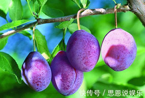 气血|此水果每天吃一些，补气血、防掉发、润肤色，女人30后可以试试