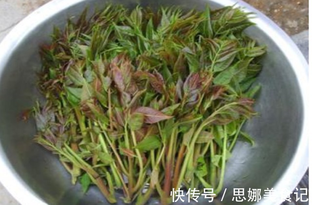 郑晓|明朝一位奇人,活了120岁,每天只吃两种食物,如今我们也爱吃