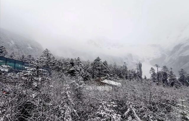 雪花|四川最会变脸的景点，说好的秋天一夜过后银装素裹，游客称赞漂亮