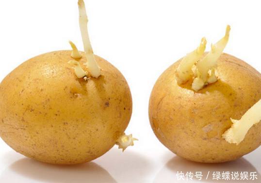 土豆发芽千万别扔!用处太大,99人都不知道,现在知道还不晚
