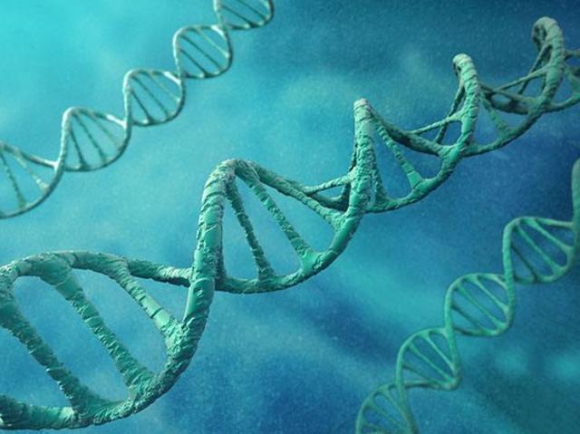 x染色体|这3个情况最容易“隔代遗传”,尤其会传给男孩子,家长要注意