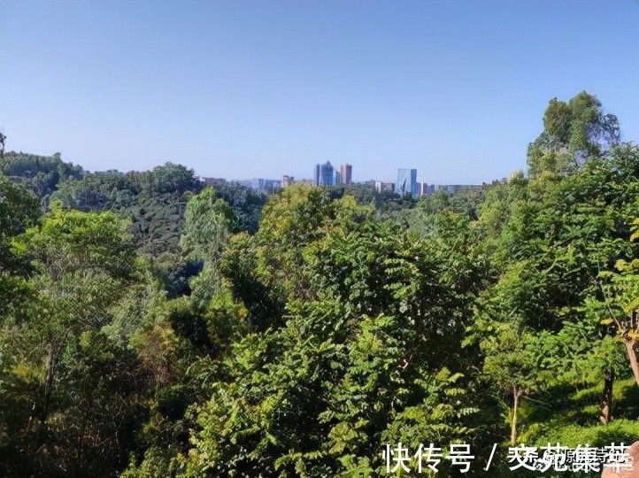 朝中措！蝶恋花·咏松/朝中措·冬日重登余石岭