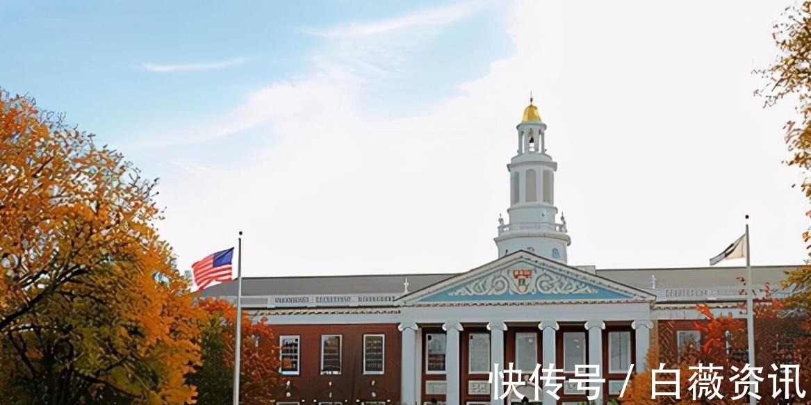 孩子|白岩松:情商比智商更为重要,常对孩子说这4句话,娃情商不会低