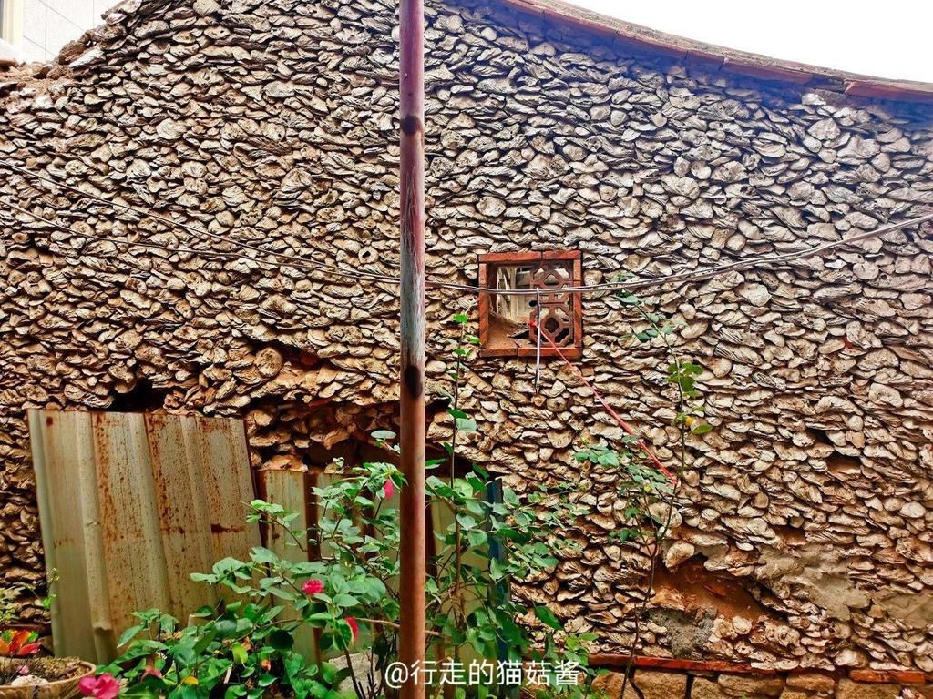 房子|闽南的这个神奇村落，用海蛎壳建房子，居住的是阿拉伯人后裔