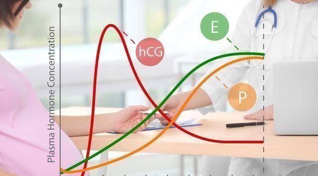孕囊|孕早期,孕妈第一次产检,如果三个指标合格,恭喜你,胎儿很健康