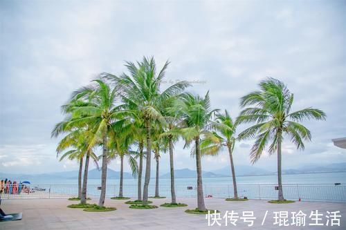 小渔村|这座隐藏在大海怀抱，400余年的小渔村，如今却依旧不温不火