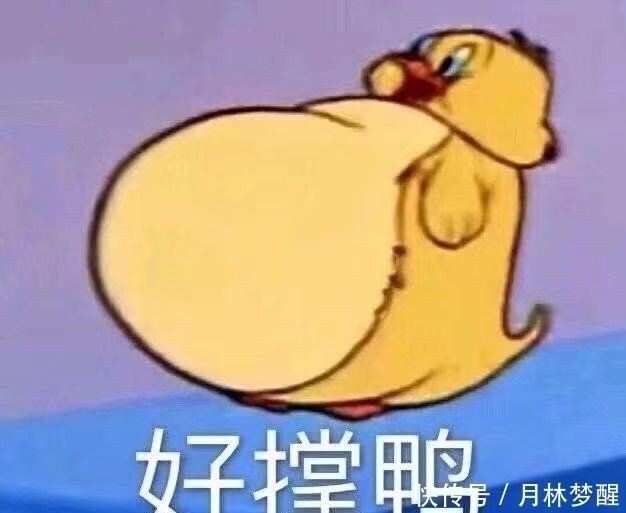 |十条笑话:姐夫觉得自己很牛了,姐姐却觉得自己可能是嫁了个傻瓜