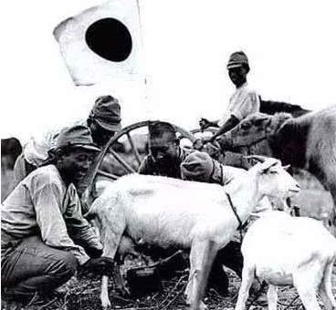 进村|历史上真实的“鬼子进村”是这样的,别被那些抗日神剧骗了