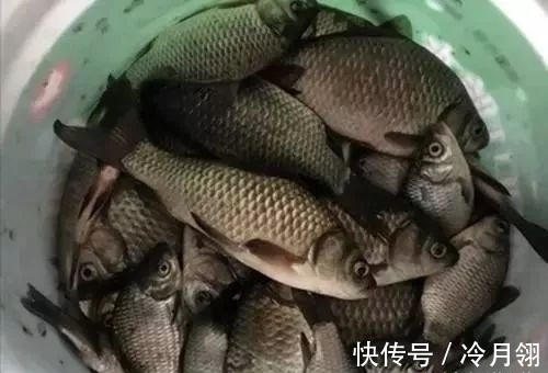 钓友|冬季巧用漂,鱼获不会少,冬季野钓最实用的调漂技巧