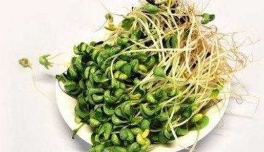 龙眼|女人步入中年，可常吃以下食物，祛皱淡斑，嫩肤养颜，延缓衰老