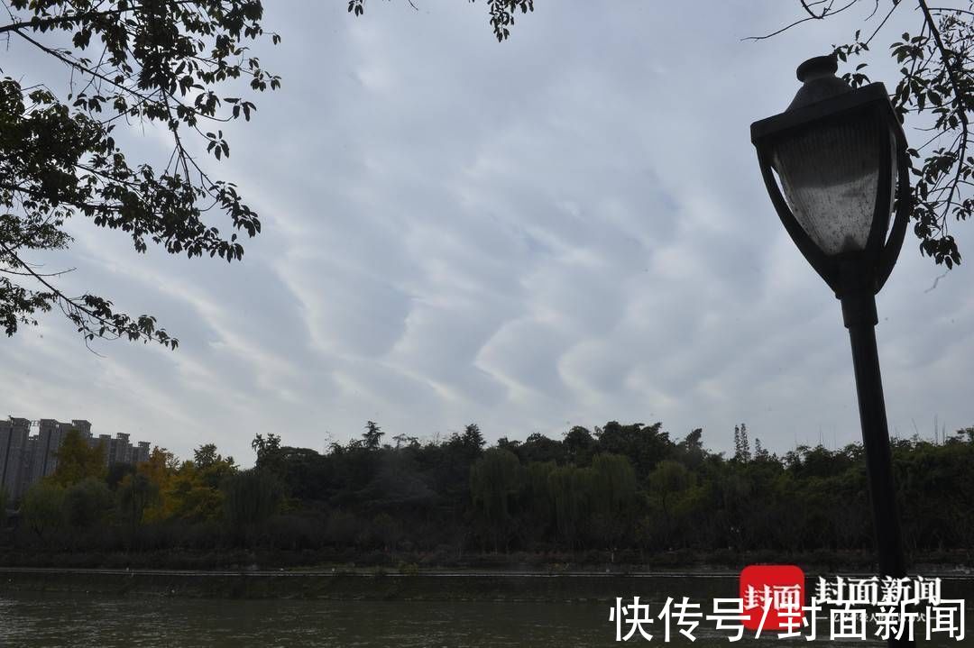 雷远东|成都上空飘过“梯田云”