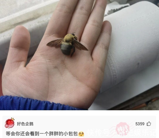 |搞笑:花一百多万买的毛坯房,阳台上有三个小洞是干嘛的?还得我自己补上