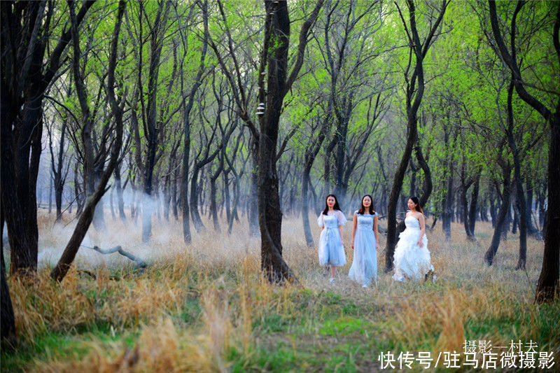 老年|中原最美湿地、越冬候鸟家园——宿鸭湖