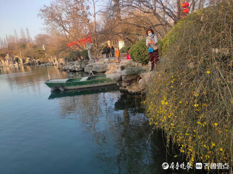 济南五龙潭的迎春花开啦！百花齐放的日子还远吗？|情报站| 济南五龙潭的迎春花开啦！百花齐放的日子还远吗？\＂,\＂i16\＂:\＂情报站