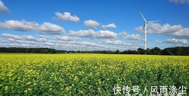 食神|6天后，财运缠身，付出真情，旧情复苏，东山再起，从此再难离