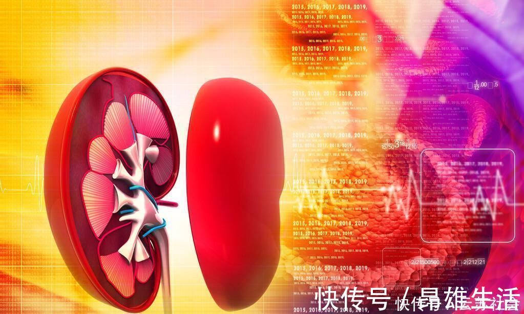 久治|肾病久治不愈中医专家留下“小方”,收藏起来