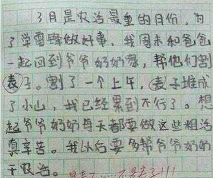 学渣都是段子手，小学生作文曝光，老师哭笑不得