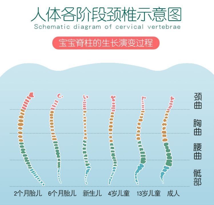好好学习|家长的3种行为,影响宝宝脊柱发育,长大可能“矮”人一截